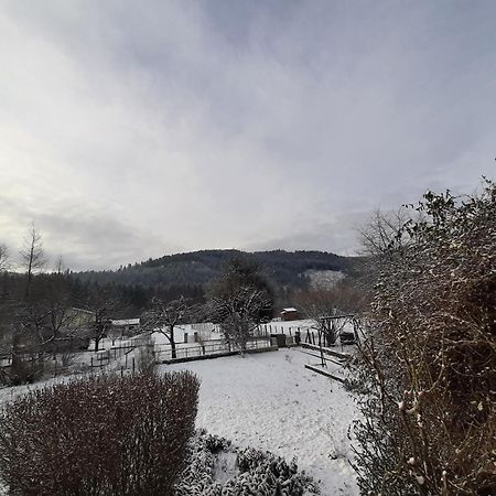 Chez Vovone 3 Etoiles Clevacances Saulxures-sur-Moselotte Экстерьер фото