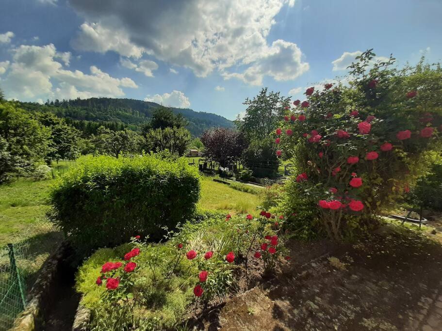 Chez Vovone 3 Etoiles Clevacances Saulxures-sur-Moselotte Экстерьер фото
