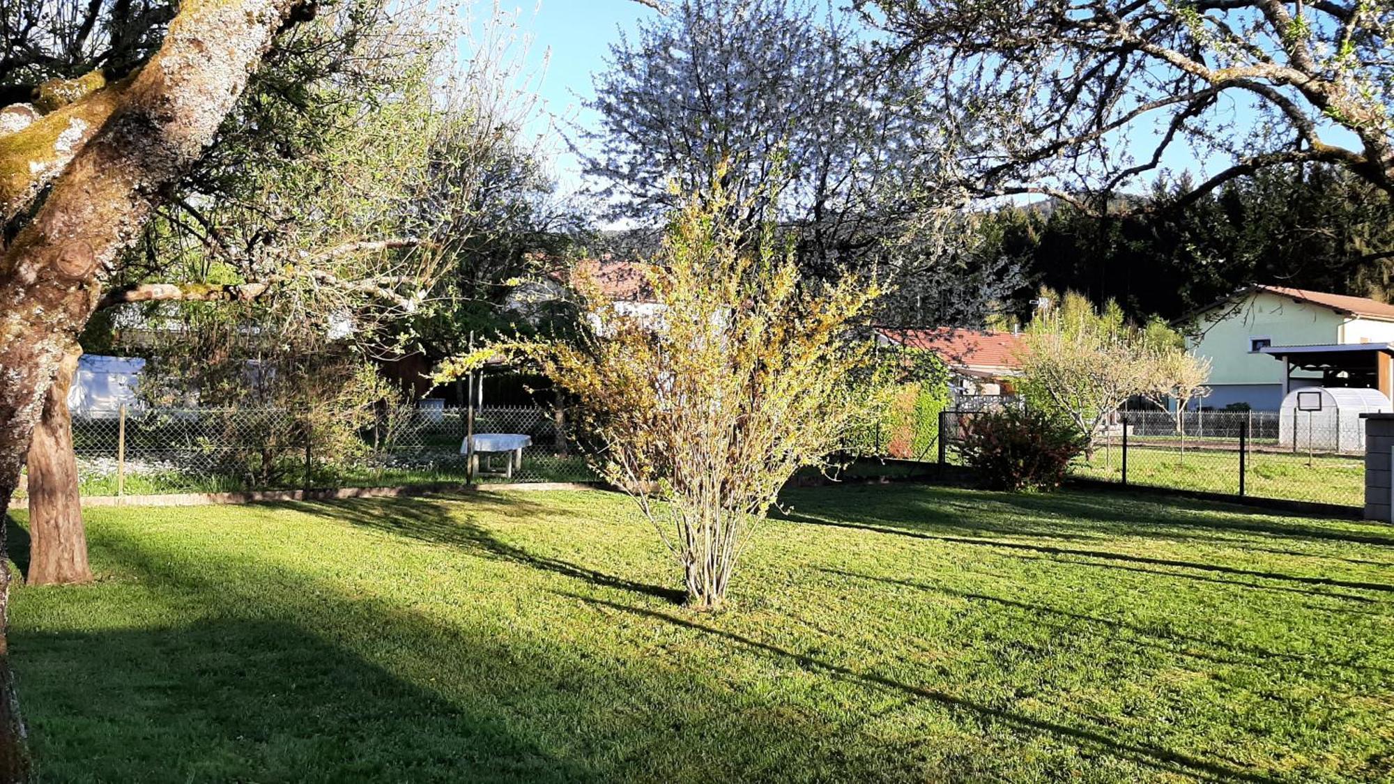 Chez Vovone 3 Etoiles Clevacances Saulxures-sur-Moselotte Экстерьер фото